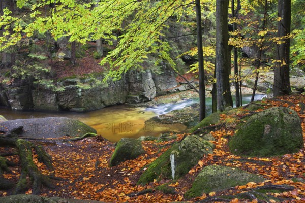 Szklarka stream in autumn forest of Karkonoski National Park, Karkonosze Mountains, Lower Silesia, Poland, Europe