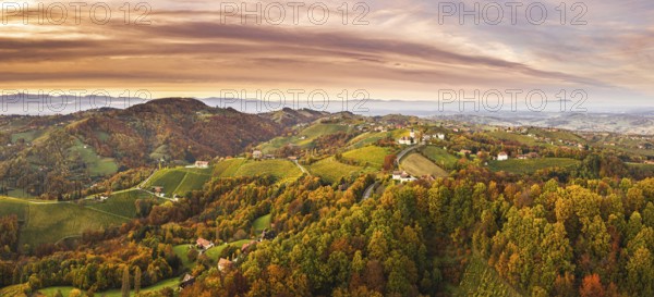 Aerial panorama of Vineyard on an Austrian countryside in Kitzeck with a church in the background