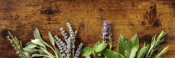 Aromatic herbs panoramic banner with copy space, shot from the top on a rustic wooden background. Bunches of rosemary, thyme, lavender, and various other culinary plants