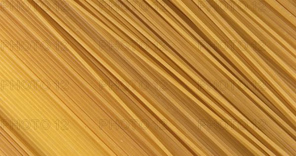 Spaghetti Pasta