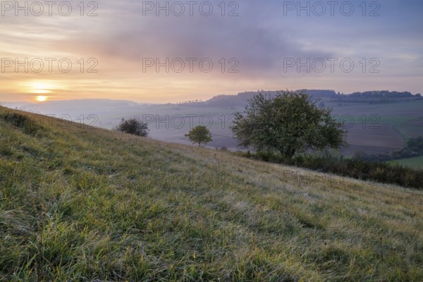 A hilly landscape with grass and trees at sunset, depicting a peaceful and vast nature, Bisberg, Watterdingen, Hegau, Lake Constance region, Baden-Württemberg, Germany, Europe