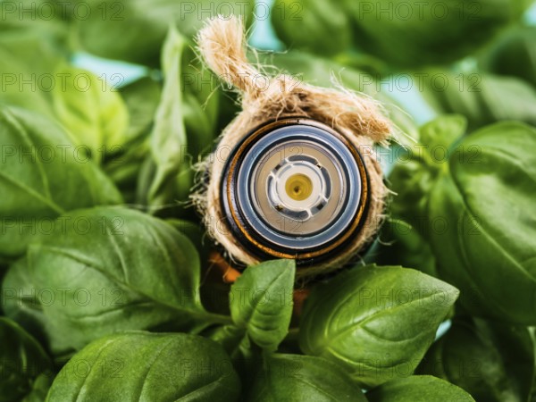 Bottle of basil essential oil with fresh basil