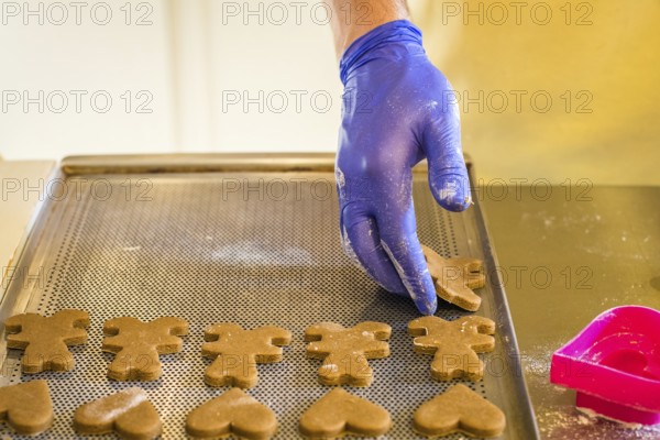 Hand lay the dough in the shape of a bear on the baking tray