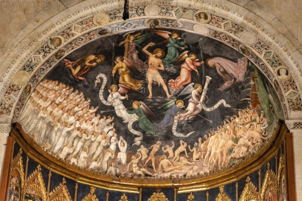 Salamanca, Spain, January 15, 2022: Cathedral of Salamanca. Interior view of the vaults, Europe
