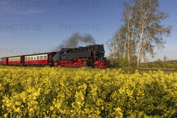 Selketal railway between Quedlinburg and Gernrode