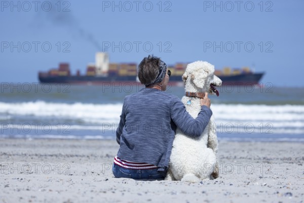 Woman sits together with her dog, a white poodle, amicably familiar on the beach in the sunshine, hugs him and looks at the sea, a ship passes by, Groede, Zeeland, Netherlands