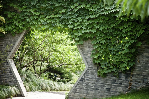 To the secret garden