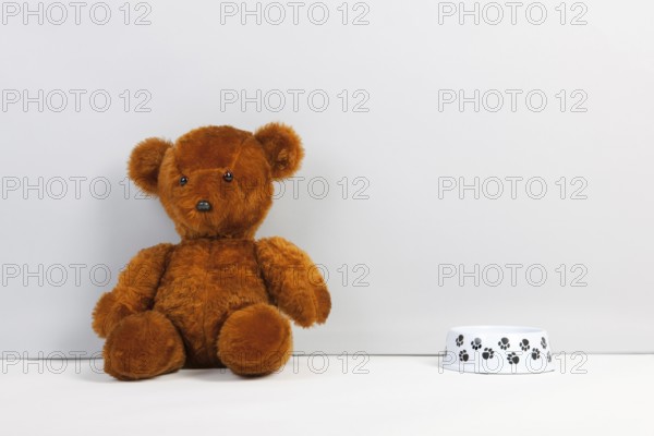 Brown teddy bear sitting at the floor