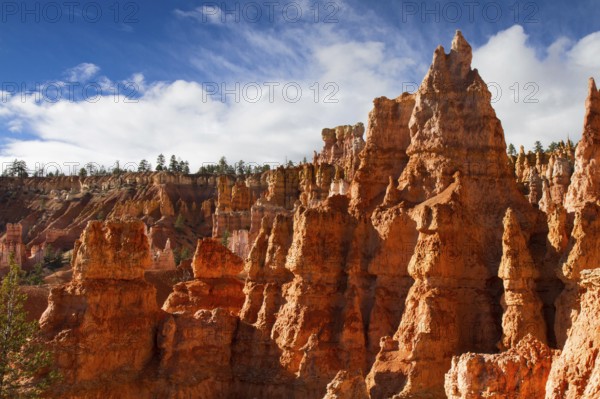 Rock Formation of Queens Stone Garden, Bryce Canyon National Park, Utah