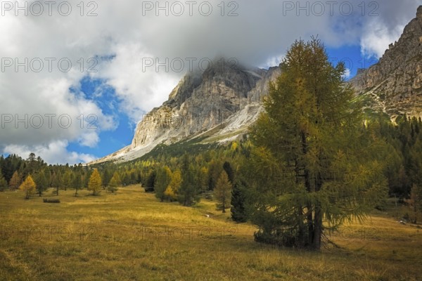 Landscape in autumn at Passo Falzarego, Dolomites, Italian Alps