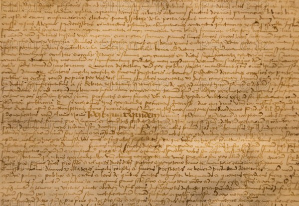 Aged handwritten manuscript text. Calligraphy on old paper, vintage background