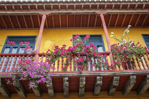 Low angle view of colorful colonial house facade with a flower decorated balcony, Cartagena, Colombia, South America