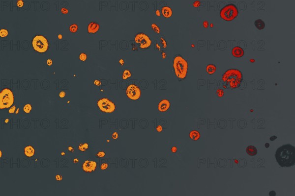 Abstract creative marble pattern texture. Traditional art of Ebru marbling