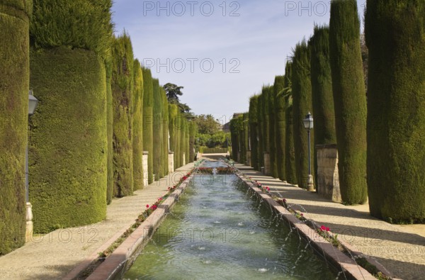 Garden of the Alcazar de los Reyes Cristianos, Cordoba, Andalusia, Spain Cordoba, Spain, Europe