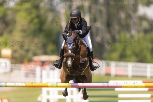 Sameh el Dahan of Great Britain, riding WKD Toronto, compete in the 1.60m Grand Prix during The Continental international competition at Spruce Meadows, in Calgary, Canada, North America
