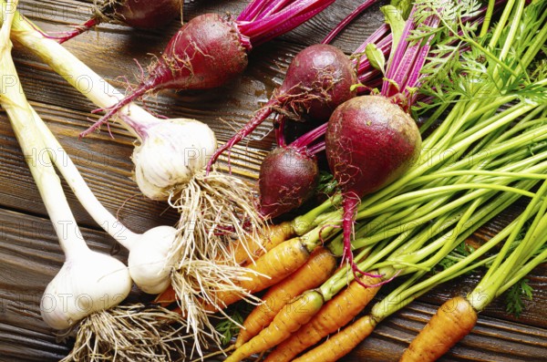 Vegetarian background of fresh organic beetroots green garlic and carrots on kitchen wooden rustic table