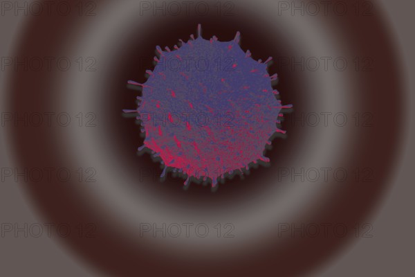 Covid-19 Novel Coronavirus Bacteria. No Infection and Stop Coronavirus Concepts