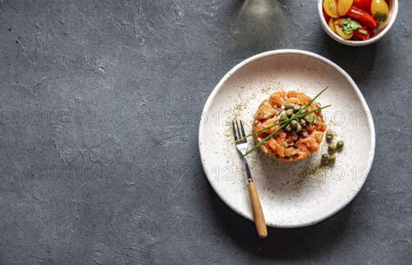 Food, Food, SALMON TARTAR with capers and purple onion on white plate, gray background