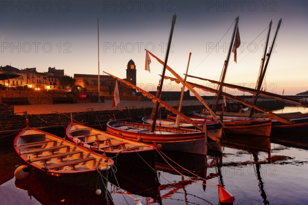Catalan pointu boats at early morning at the port of Collioure, Cote Vermeille, Pyrenees-Orientales Occitanie, France, Europe