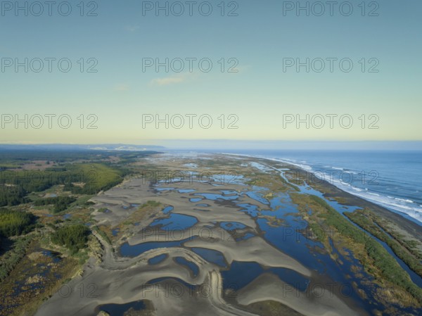 Whetland nea ocean in seventh region Maule in Chile