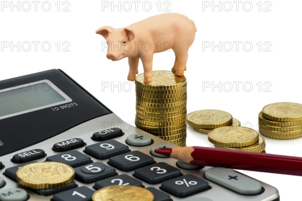 A pig and a calculator as a symbol for costs and income for a farmer in agriculture, expenses, income and bookkeeping