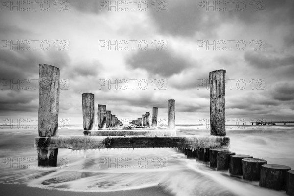 Groyne on the coast of the Baltic Sea in Zingst