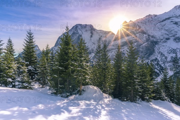 Serene winter landscape with a bright sun shining over the peaks of the Austrian Alps and its forever green fir forests