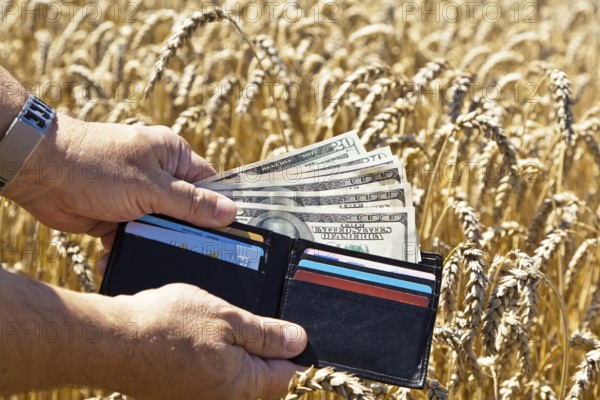 A farmer with a purse in a grain field. Subsidies in agriculture Austria