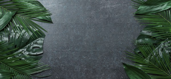 Palm leaves on dark blue background. Tropical leaves top view or flat lay. Copy space for text or design. Horizontal banner. Tropical palm leave, jungle leave floral pattern background