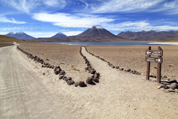 Laguna Miscanti in the Atacama Desert in Chile
