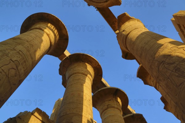 Top of columns in Karnak temple with ancient egypt hieroglyphics