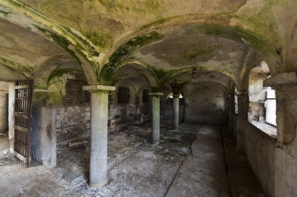 Details of an abandoned stable