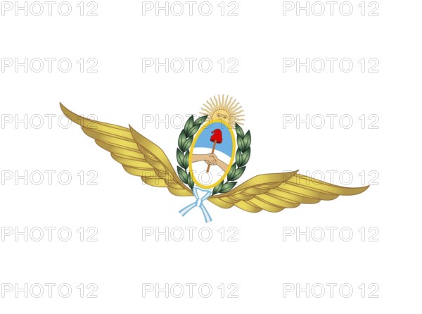 Rotated to right, Argentine Air Force Logo, Logo