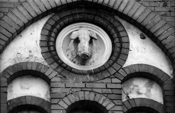 Germany, Berlin, 03.04.1992, Logo, pig's head, former slaughterhouse on Landsberger Allee (formerly Leninallee), Europe