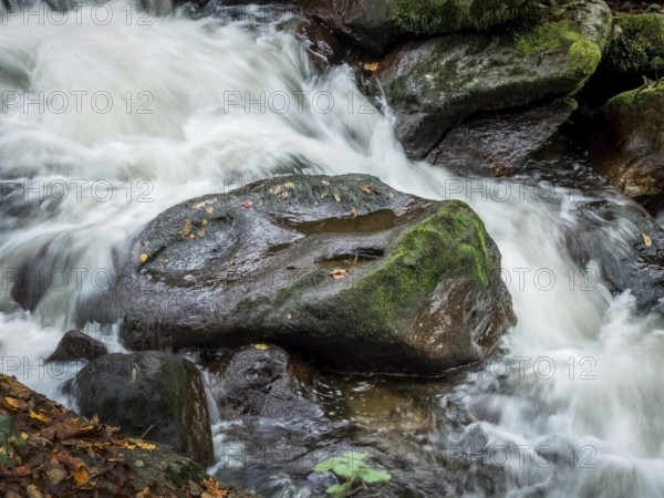 A stream with stones and flowing water. Experience the landscape in nature. Austria