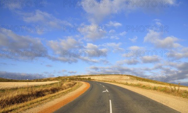 Urban tar road in between wheat fields in South Africa