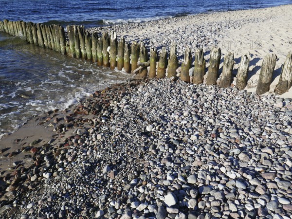 Old groynes on the pebble beach