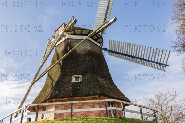 Traditional windmill with thatched roof and wooden construction under a clear blue sky, burlage, east frisia, germany