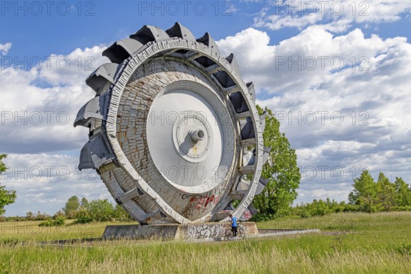Paddle wheel