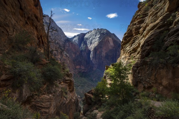 Panorama of Zion National Park as seen from Angel's Landing, Utah, USA, North America