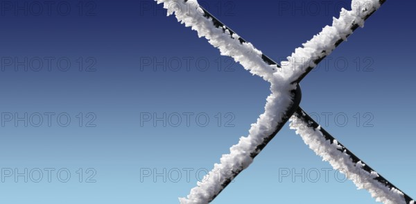 A chain-link fence with hoarfrost