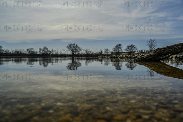 Reflection of trees in calm water surface under a partly cloudy sky, Danube, Bogen, Lower Bavaria