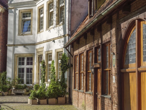 Old buildings standing side by side with plants, white façade and wooden details, Billerbeck, Münsterland, Germany, Europe