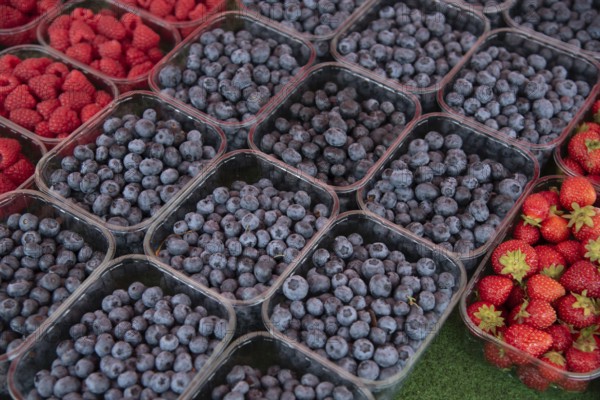Fresh ripe blueberries and strawberries in a box for sale in a fruit market. Organic fruit, healthy lifestyle