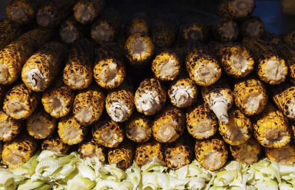Roasted sweet corns on the grilled on barbecue grill