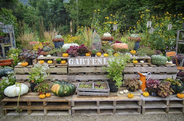 Beautiful garden decoration in the country garden in autumn time