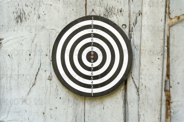 An image of an old dart board