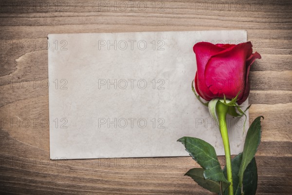 Old sheet of paper and red rosebud on wooden board