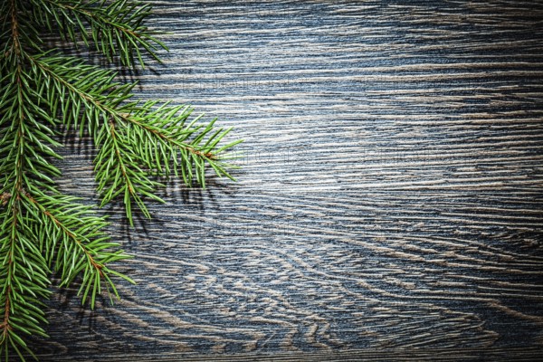 Pine tree branch on wooden board