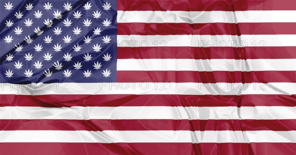 The national United States flag with Marijuana leafs inside, illustration background. concept for legalization in USA